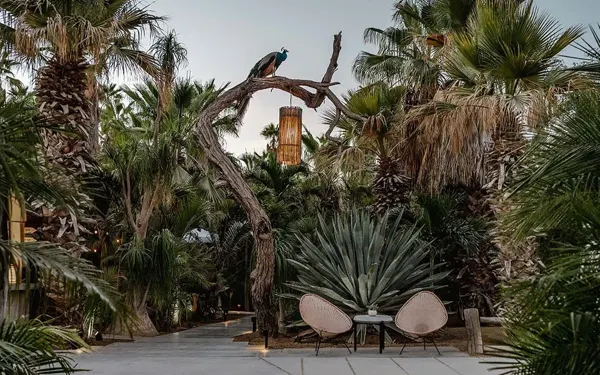 Acre Resort — destination for your private SJD transfer