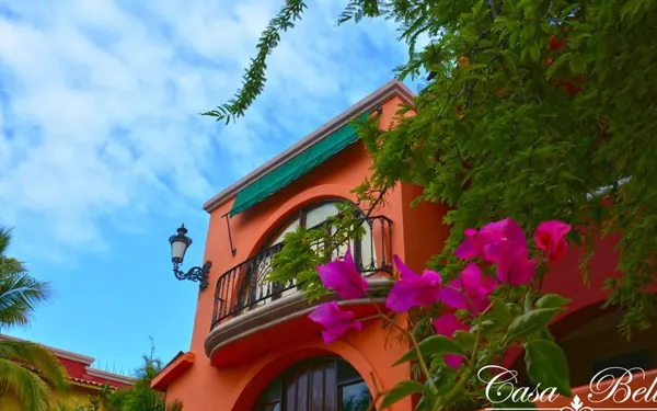 Collection O Casa Bella Hotel Boutique — destination for your private SJD transfer