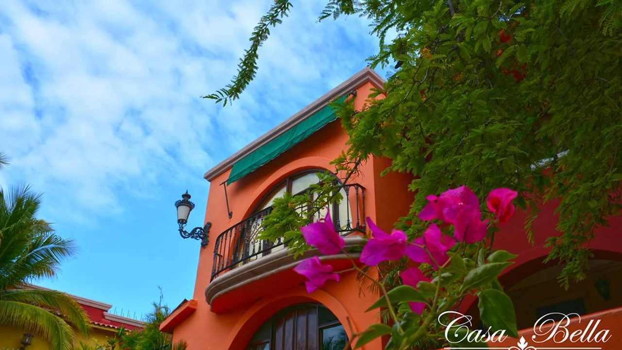 Collection O Casa Bella Hotel Boutique — destination for your private SJD transfer